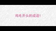 鸡毛开头的成语