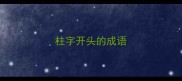 柱字开头的成语