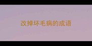 改掉坏毛病的成语