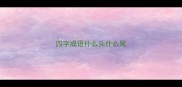 四字成语什么头什么尾