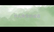 什么珠宝的成语