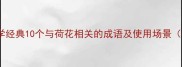 荷花成语必学经典10个与荷花相关的成语及使用场景附诗句彩蛋