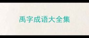 禹字成语大全集