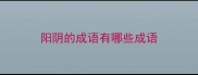 阳阴的成语有哪些成语
