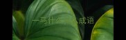 一马什么什么成语