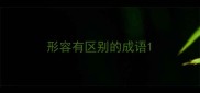 形容有区别的成语