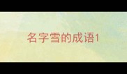 名字雪的成语