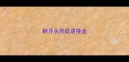 树开头的成语接龙