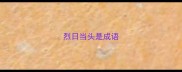 烈日当头是成语