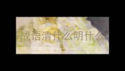 成语清什么明什么