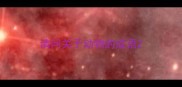 请问关于动物的成语
