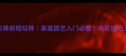 鲜花似锦前程似锦家庭园艺入门必看养花技巧大公开