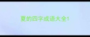 夏的四字成语大全