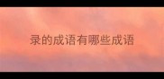 录的成语有哪些成语