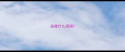 品味什么成语