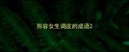形容女生调皮的成语