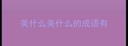 美什么美什么的成语有