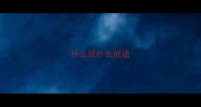 什么鼠什么成语
