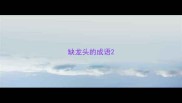 缺龙头的成语
