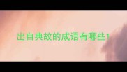 出自典故的成语有哪些
