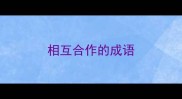 相互合作的成语