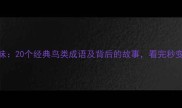 鸟的成语趣味20个经典鸟类成语及背后的故事看完秒变语文达人