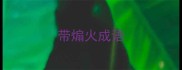 带煽火成语