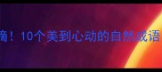 成语填空苍翠欲滴10个美到心动的自然成语看完秒变文化人