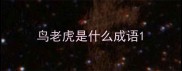 鸟老虎是什么成语