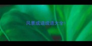 风景成语成语大全