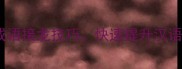 三步掌握成语接龙技巧快速提升汉语文化素养