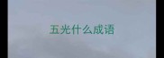 五光什么成语