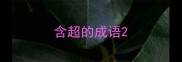 含超的成语