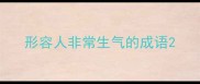 形容人非常生气的成语