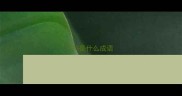 123是什么成语