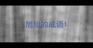旭旭的成语