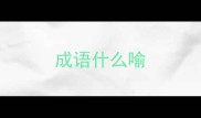 成语什么喻