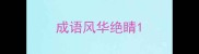 成语风华绝睛