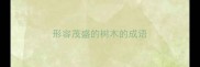 形容茂盛的树木的成语