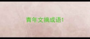青年文摘成语