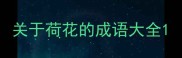 关于荷花的成语大全