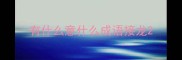 有什么意什么成语接龙