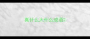 真什么大什么成语