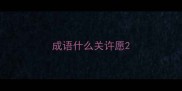 成语什么关许愿