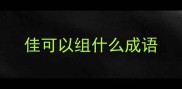 佳可以组什么成语