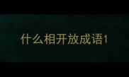 什么相开放成语