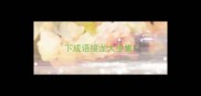 下成语接龙大全集