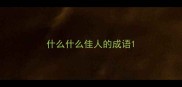 什么什么佳人的成语