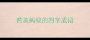 赞美蚂蚁的四字成语