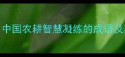 寒耕暑耘中国农耕智慧凝练的成语及其现代应用